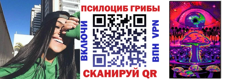 kraken зеркало  магазин продажи наркотиков  Терек  даркнет Telegram  Галлюциногенные грибы Magic Shrooms 
